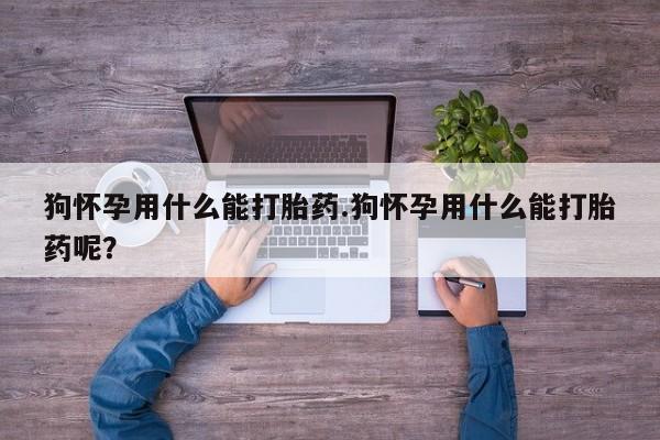 网上卖打胎药微信的联系方式狗怀孕用什么能打胎药.狗怀孕用什么能打胎药呢？