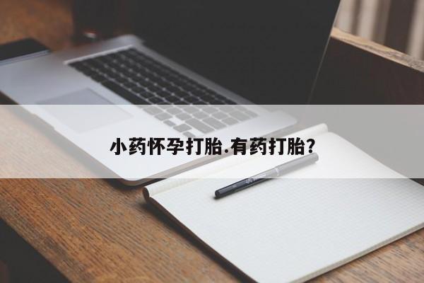 网上卖打胎药微信的联系方式小药怀孕打胎.有药打胎？