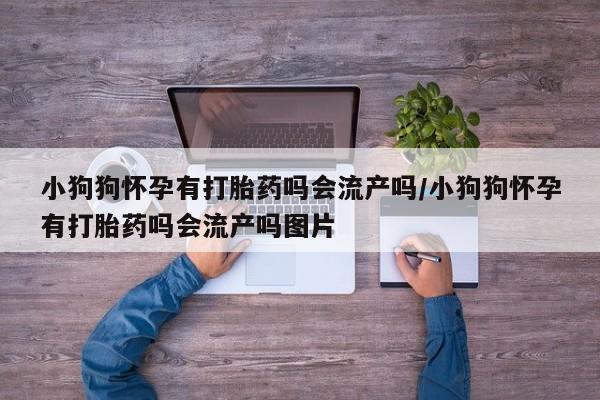 网上卖打胎药微信的联系方式小狗狗怀孕有打胎药吗会流产吗/小狗狗怀孕有打胎药吗会流产吗图片