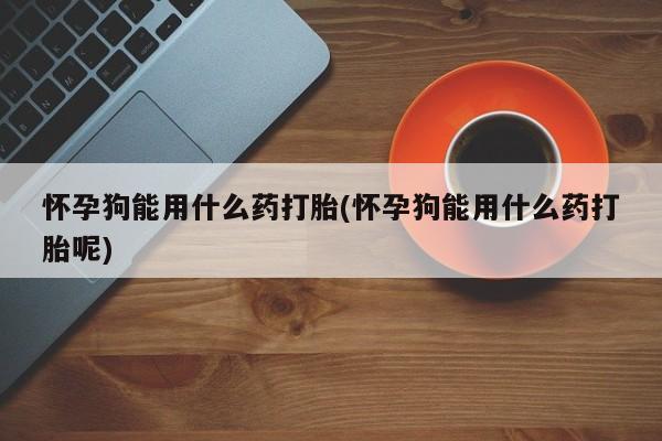 网上卖打胎药微信的联系方式怀孕狗能用什么药打胎(怀孕狗能用什么药打胎呢)